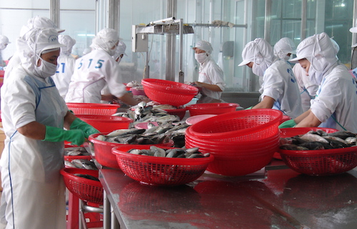 Xuất khẩu thuỷ sản vừa được giá, vừa mở rộng thị trường ảnh 1